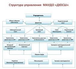 Структура управления МАУДО "СШ"